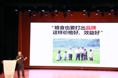 &ldquo;鄉村智庫&rdquo;、&ldquo;專家智匯&rdquo;共同加力麻章提速&ldquo;百千萬工程&rdquo;落實落細