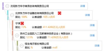 沈陽東方華爾商務咨詢有限責任公司