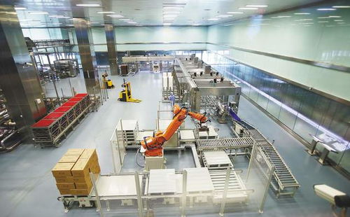 碧桂園跨界布局，機器人公司與智能工廠共繪智造新藍圖